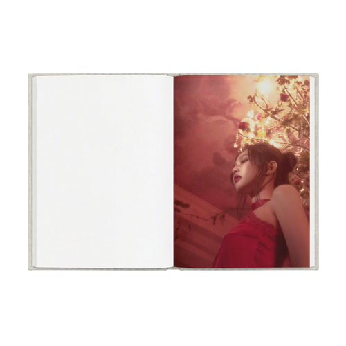 Fallen Angel Notebook